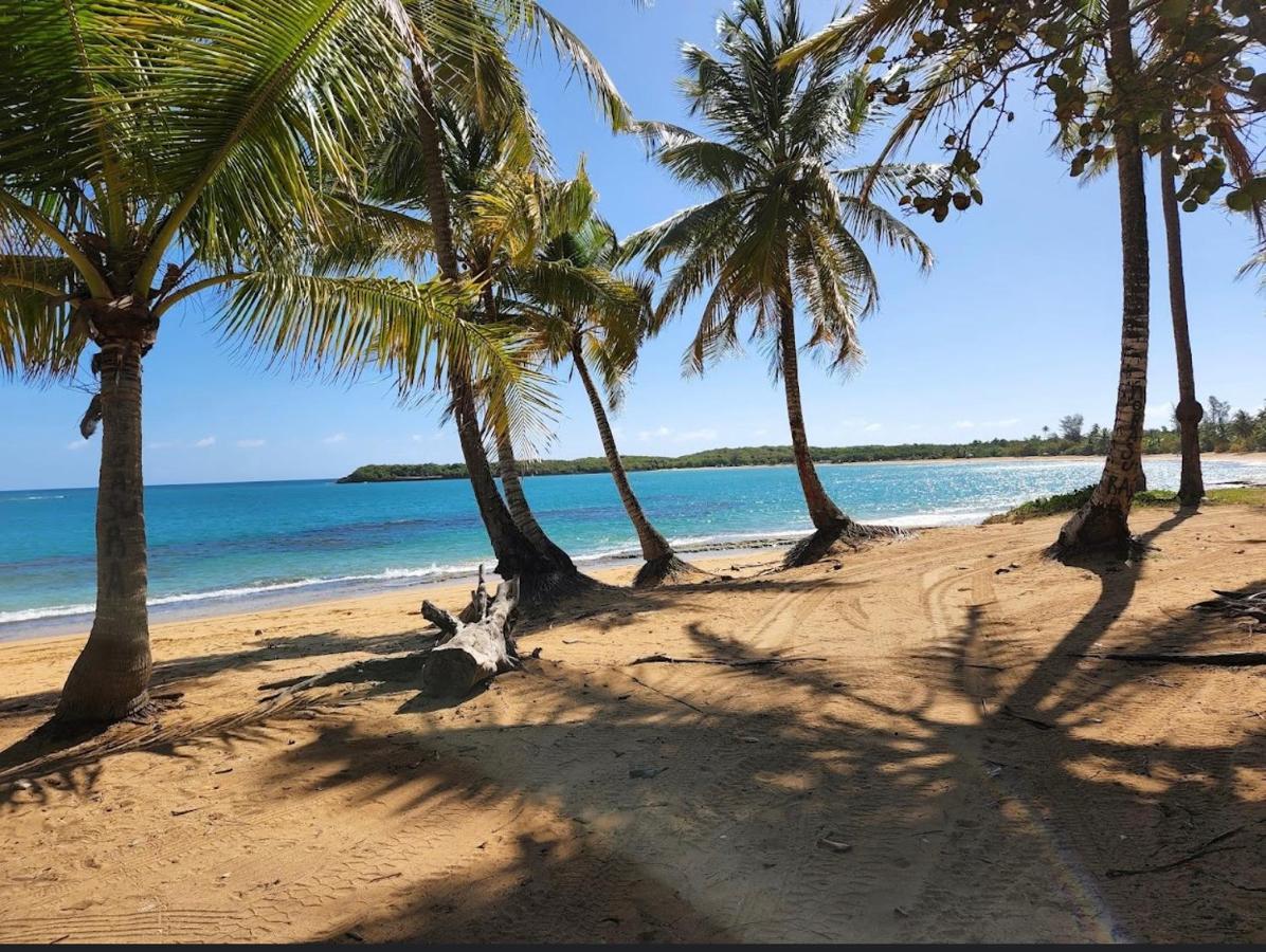 Bee Inn Puerto Rico Charming Urban Apartment In ซานฮวน ภายนอก รูปภาพ