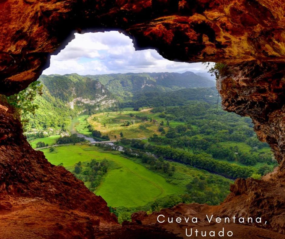 Bee Inn Puerto Rico Charming Urban Apartment In ซานฮวน ภายนอก รูปภาพ